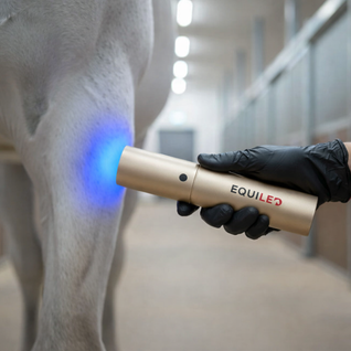 Equiled - Light Pro Laser