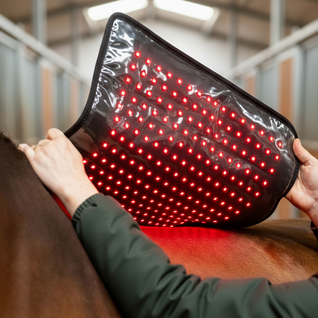 Equiled - Multifunctionele pad XL