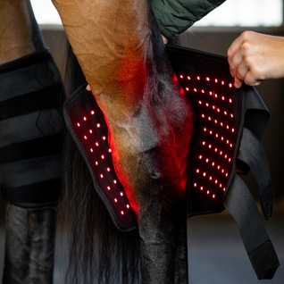 Equiled - Spronggewricht pad