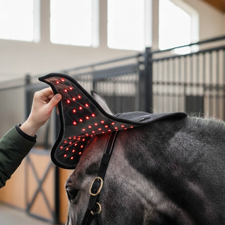 Equiled - Kopstuk pad