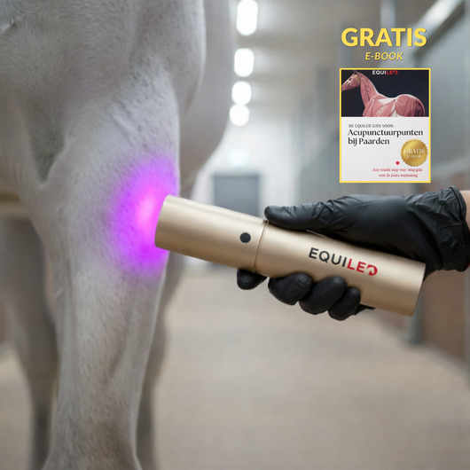 Equiled - Light Pro Laser